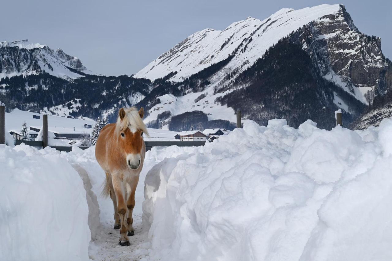 Haus Bergquell Apartment Au (Vorarlberg) Bagian luar foto
